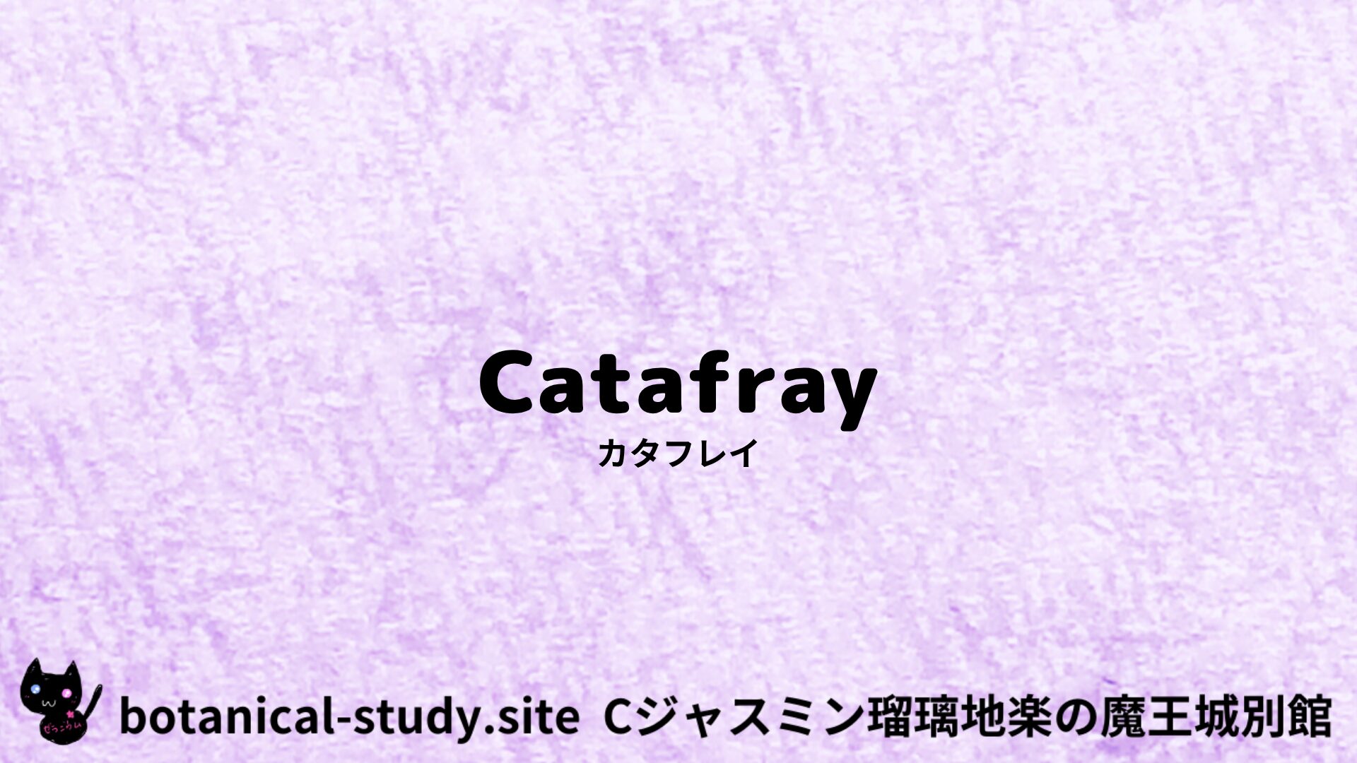 katafray-カタフレイ/アイキャッチ@botanical-study.site