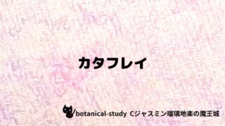 カタフレイ：プチ辞典クイズ