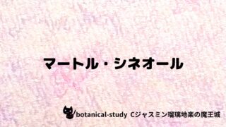 マートル・シネオール：プチ辞典クイズ