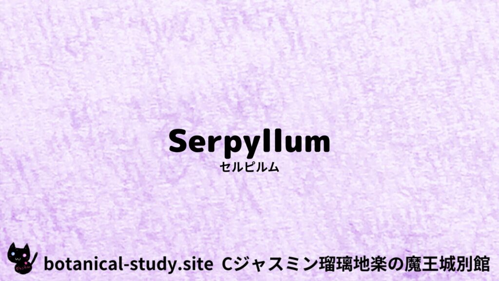 【別館】serpillum-セルピルム/ハーブ/アイキャッチ＠botanical-study.site