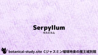 Serpyllum:Mini Dictionary Quiz セルピルム