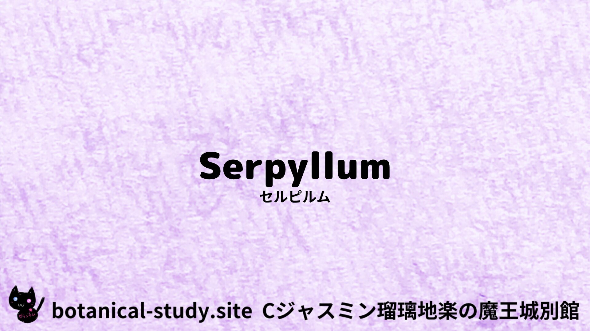 【別館】serpillum-セルピルム/ハーブ/アイキャッチ＠botanical-study.site