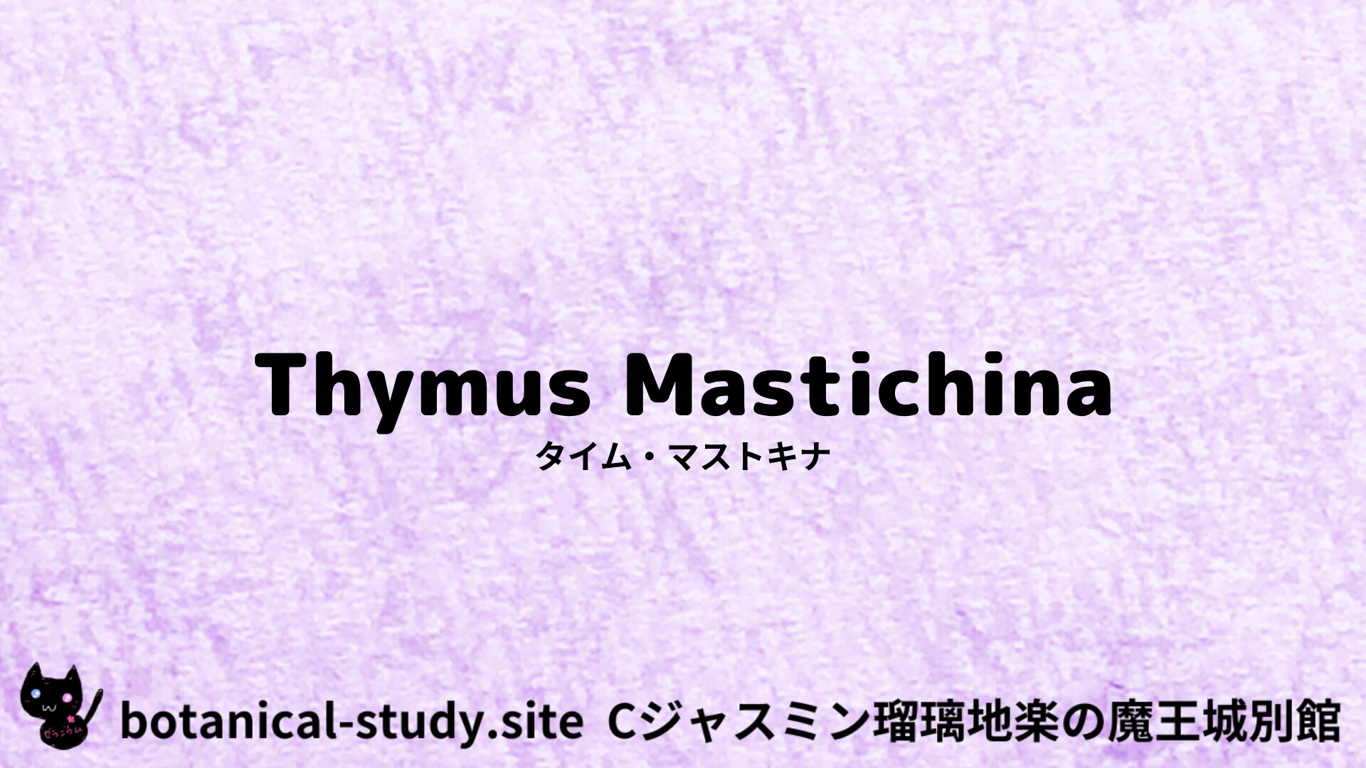 Thyme Mastichina：Mini Dictionary Quiz　タイム・マストキナ