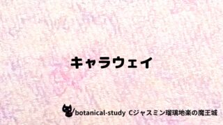 キャラウェイ:プチ辞典クイズ