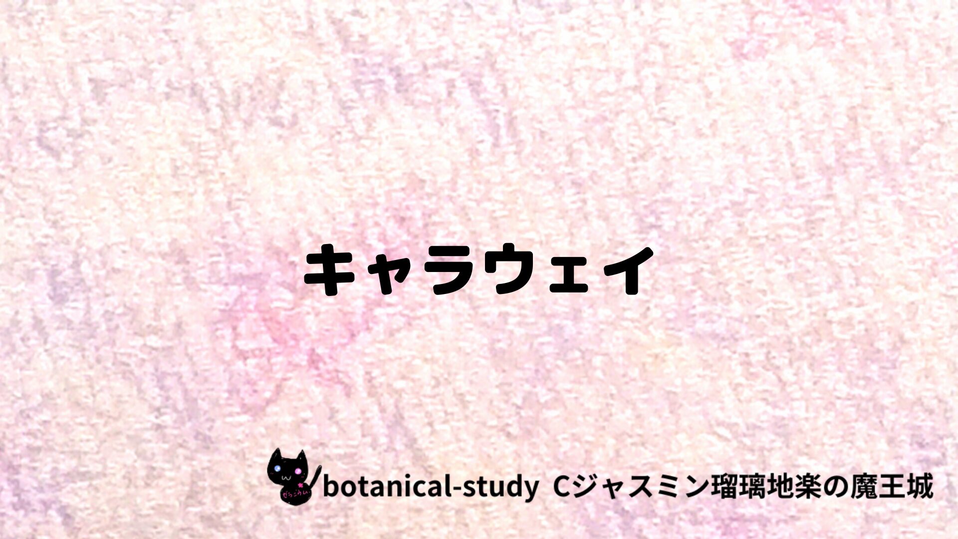 caraway-キャラウェイ/ハーブ/アイキャッチ＠botanical-study.site