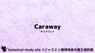 Caraway:Mini Dictionary Quiz キャラウェイ