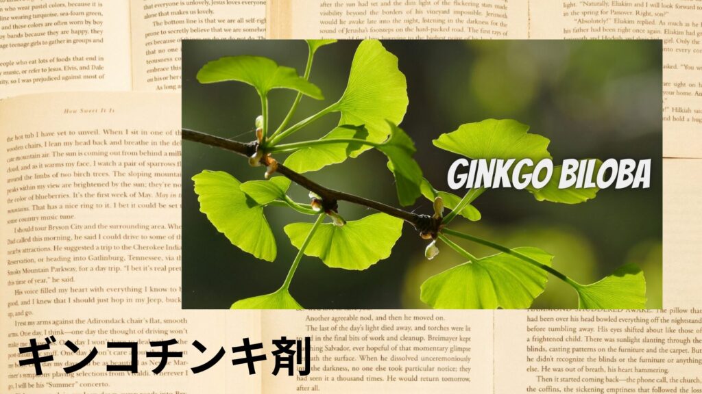 【別館画像】ginkgo-tincture-angustifolia-ギンコチンキ剤/アイキャッチ＠botanical-study.site
