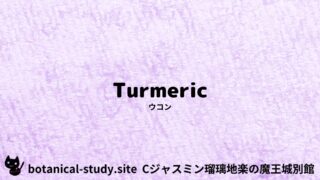 Turmeric:Mini Dictionary Quiz ウコン