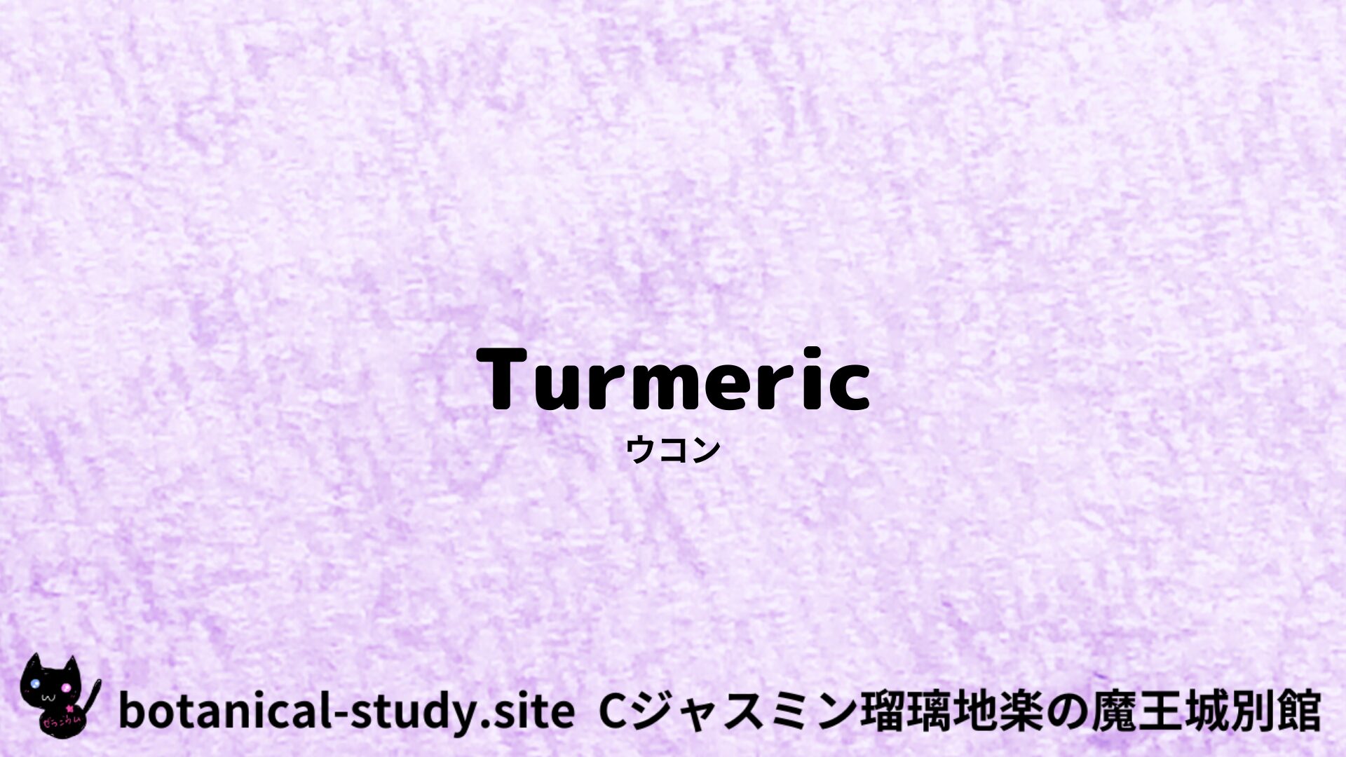 【別館】turmeric-ウコン/ハーブ/アイキャッチ＠botanical-study.site