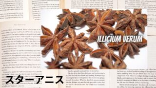 Star Anise：Mini Dictionary　スターアニス