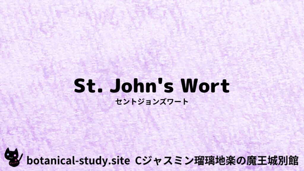 st-johns-wort-セントジョンズワート＠botanical-study.site