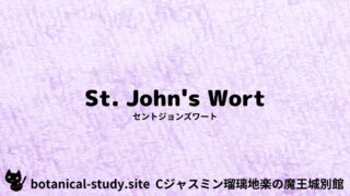 St. John’s Wort：Mini Dictionary Quiz　セントジョンズワート