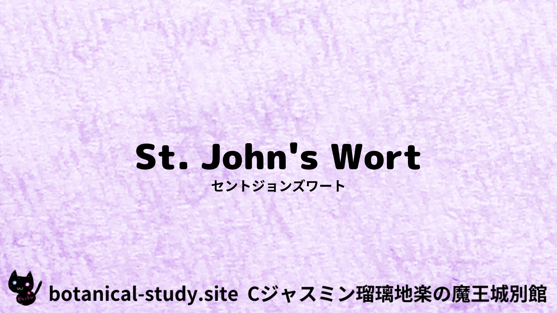 st-johns-wort-セントジョンズワート＠botanical-study.site