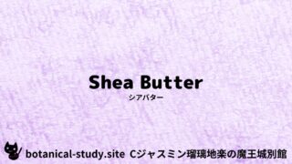 Shea Butter：Mini Dictionary Quiz　シアバター