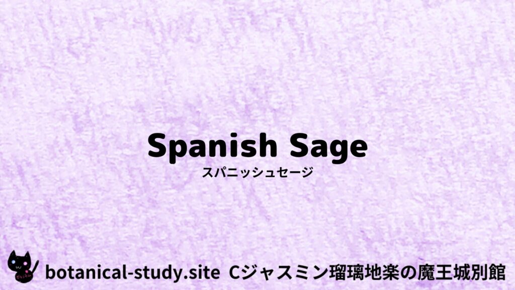 【別館】spikenard-スパイクナード/アイキャッチ＠botanical-study.site