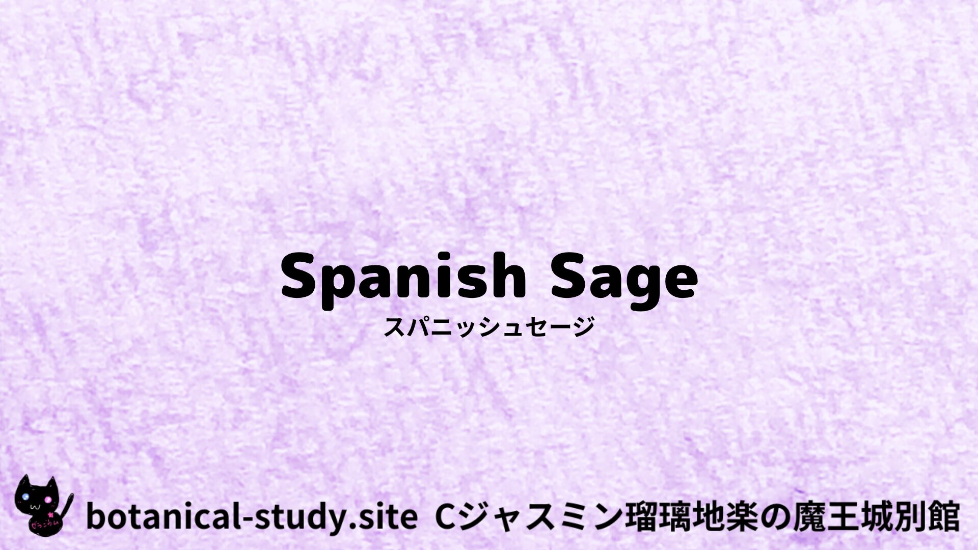 【別館】spikenard-スパイクナード/アイキャッチ＠botanical-study.site