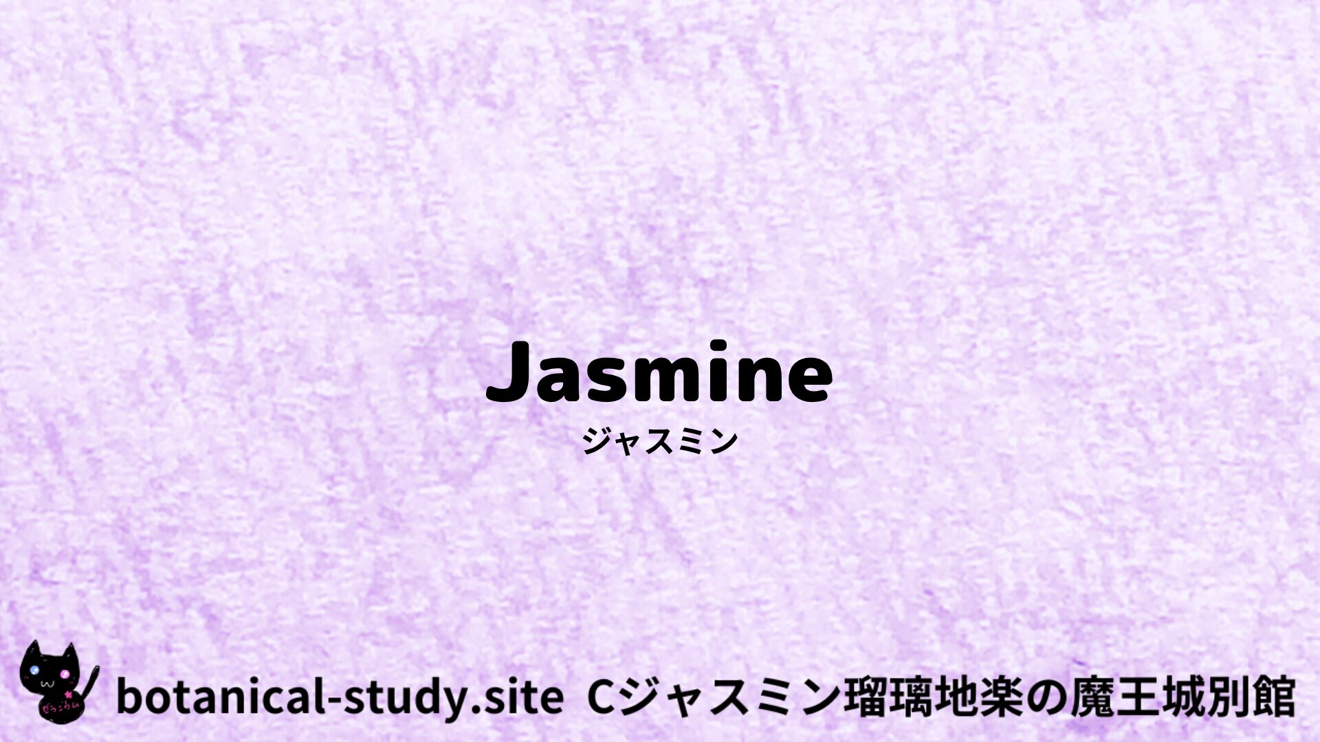 【別館】jasmine-ジャスミン/ハーブ/アイキャッチ＠botanical-study.site