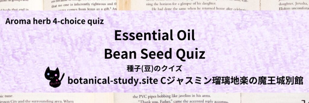 Quiz on Aromatic Classifications of Essential Oils bean seed アロマエッセンシャルオイルの種子(豆)のクイズ-botanical-study-site-gCJ.jpg