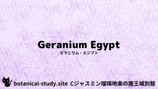 Geranium Egypt：Mini Dictionary Quiz　ゼラニウム・エジプト