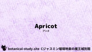 Apricot：Mini Dictionary Quiz　アンズ