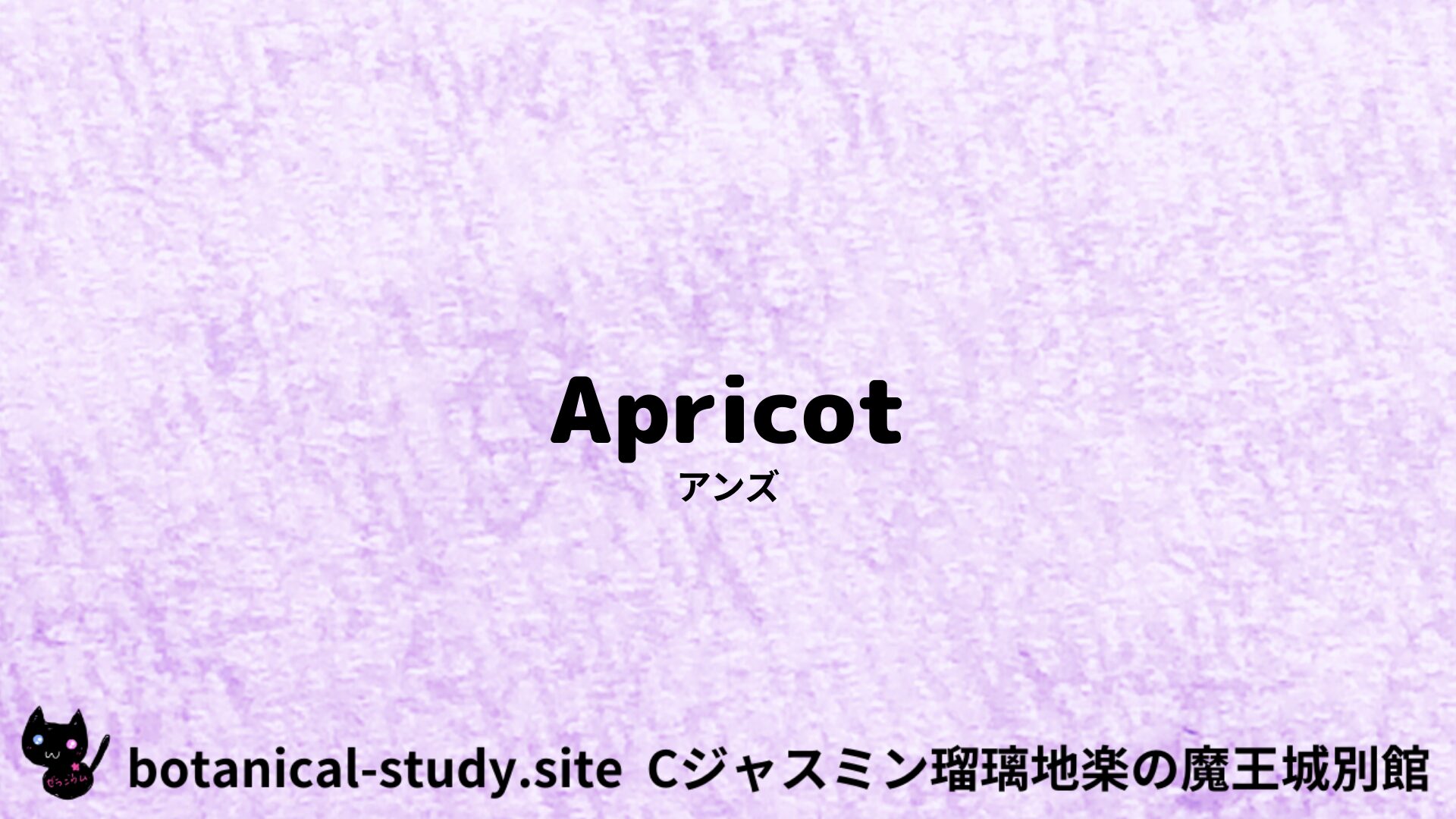 【別館】apricot-angustifolia-アンズ/ハーブ/アイキャッチ＠botanical-study.site