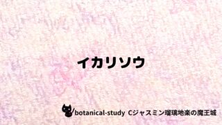 イカリソウ:プチ辞典クイズ