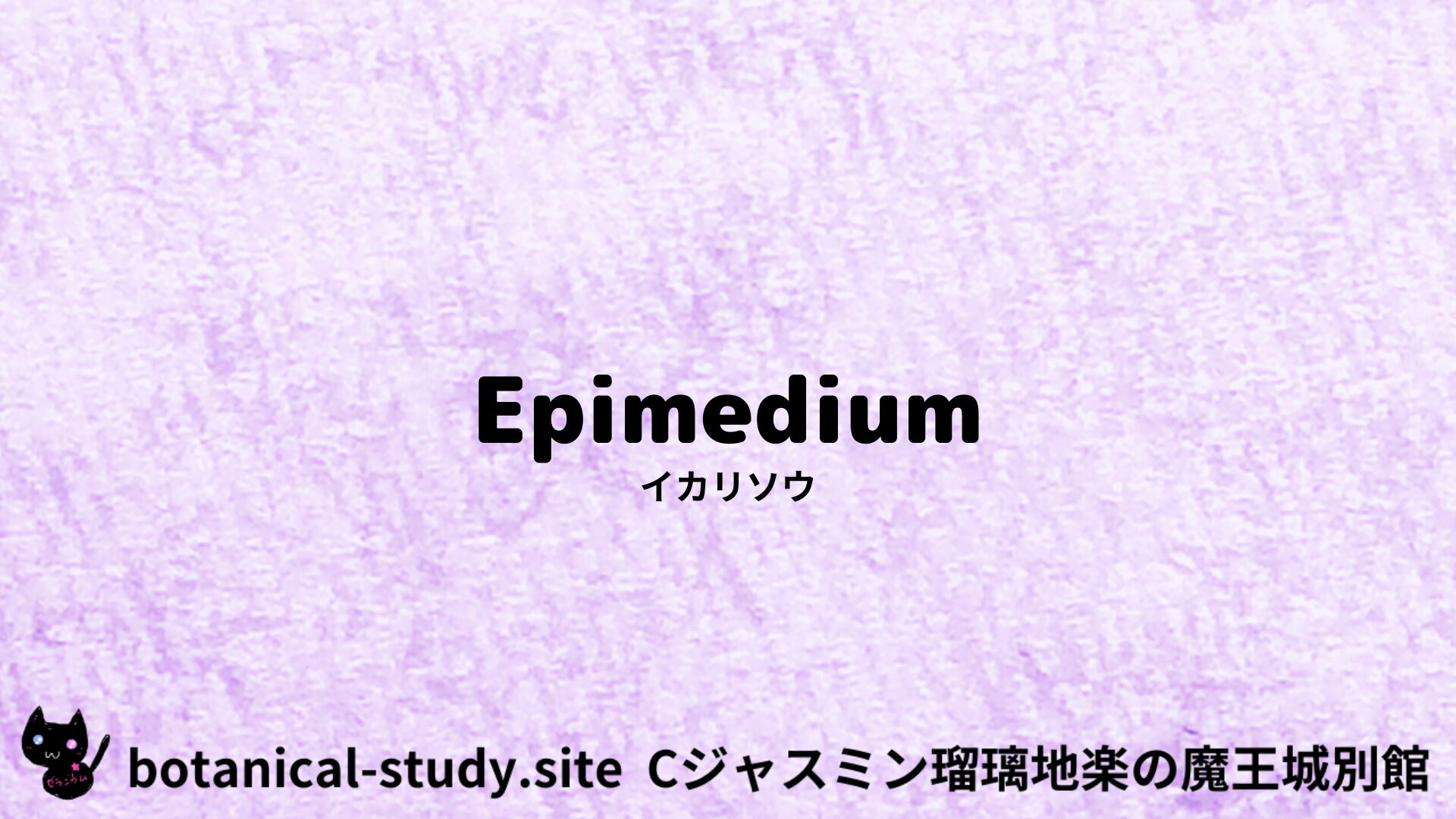 【別館】epimedium-イカリソウ/ハーブ/アイキャッチ＠botanical-study.site