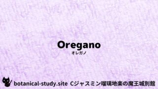 Oregano:Mini Dictionary Quiz オレガノ