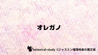 オレガノ:プチ辞典クイズ