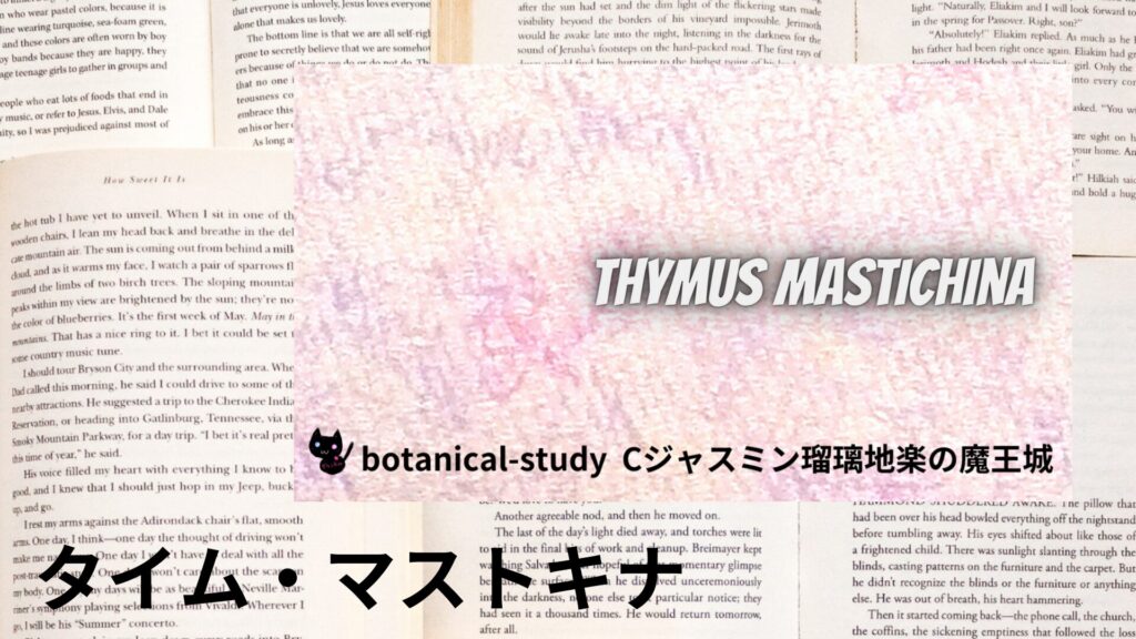 【別館画像】thyme-mastichina-クイックリンクバナー/タイム・マストキナ@botanical-study.site
