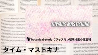 Thyme Mastichina:Mini Dictionary タイム・マストキナ