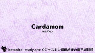 Cardamom:Mini Dictionary Quiz カルダモン