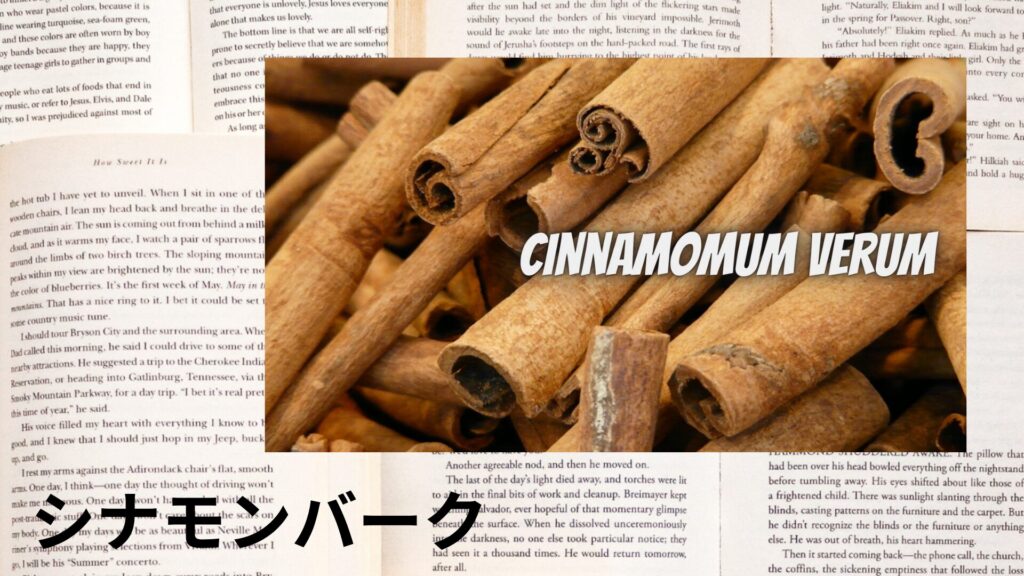 【別館画像】cinnamon-bark-シナモンバーク/ハーブ/アイキャッチ＠botanical-study.site