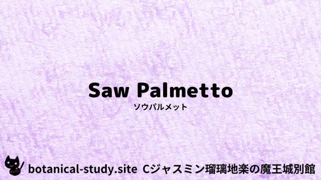 saw-palmetto-ソウパルメット/ハーブ/アイキャッチ＠botanical-study.site