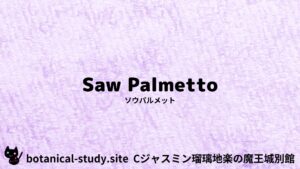 saw-palmetto-ソウパルメット/ハーブ/アイキャッチ＠botanical-study.site