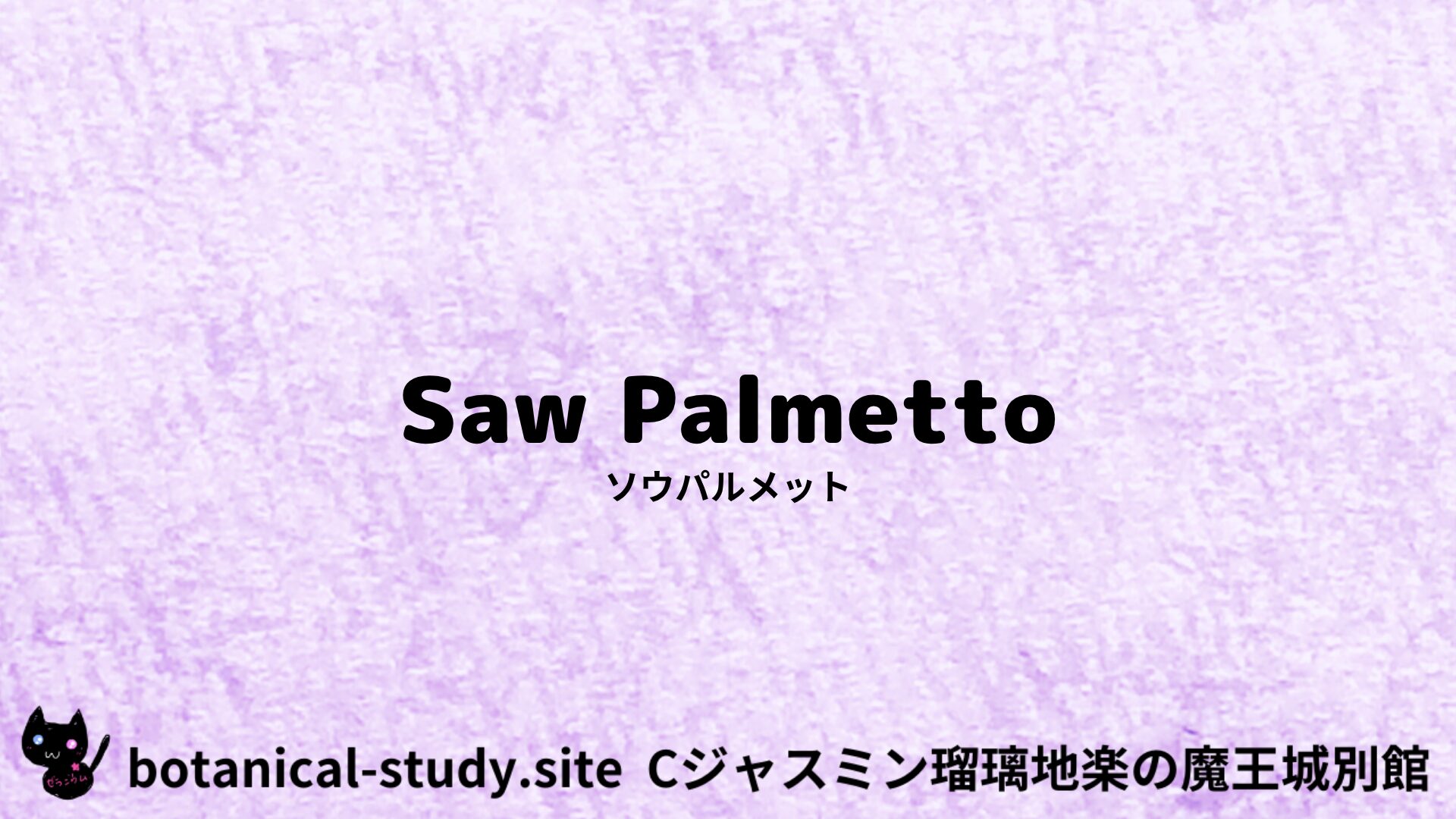 Saw Palmetto：Mini Dictionary　Quiz　ソウパルメット
