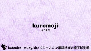 kuromoji:Mini Dictionary Quiz クロモジ