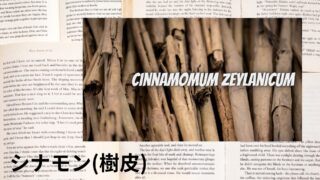 Cinnamon (Bark)：Mini Dictionary　シナモン(樹皮)