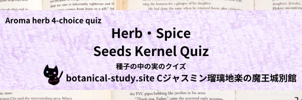Quiz on Aromatic Classifications of Herb・Spice seeds kernel ハーブ・スパイスの種子の中の実のクイズ-botanical-study-site-gCJ.jpg