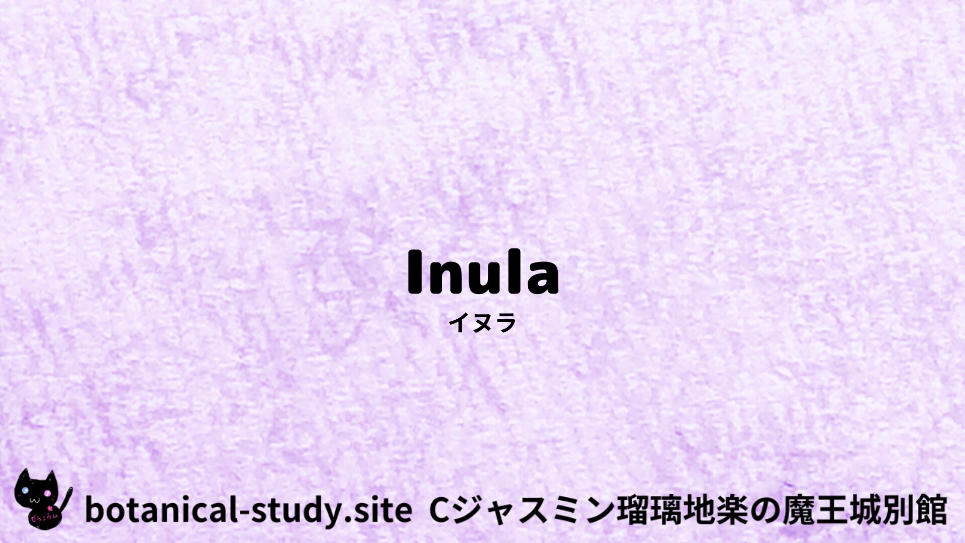 Inula:Mini Dictionary Quiz イヌラ