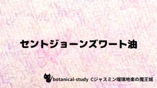 セントジョンズワート：プチ辞典クイズ