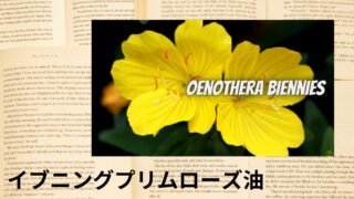 Evening Primrose Oil:Mini Dictionary イブニングプリムローズ油
