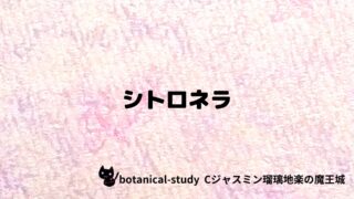 シトロネラ：プチ辞典クイズ