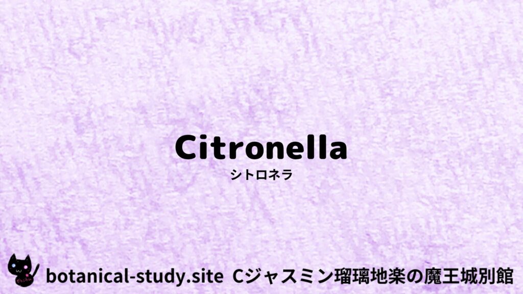 【別館】citronella-シトロネラ/アイキャッチ＠botanical-study.site