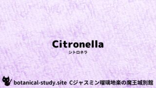 Citronella：Mini Dictionary Quiz　シトロネラ