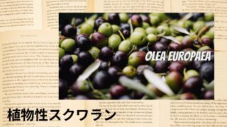 Vegetable Squalane:Mini Dictionary 植物性スクワラン
