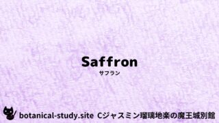 Saffron：Mini Dictionary Quiz　サフラン