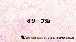 オリーブ油:プチ辞典クイズ