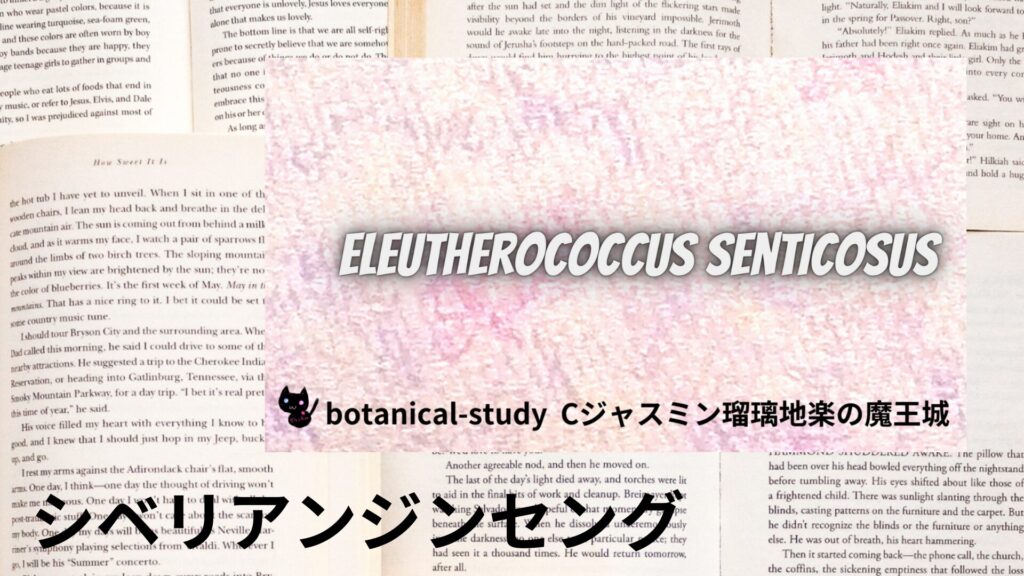 【別館画像】siberian-ginseng-シベリアンジンセング/ハーブ/アイキャッチ＠botanical-study.site