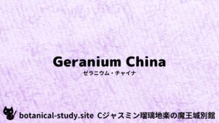 Geranium China：Mini Dictionary Quiz　ゼラニウム・チャイナ
